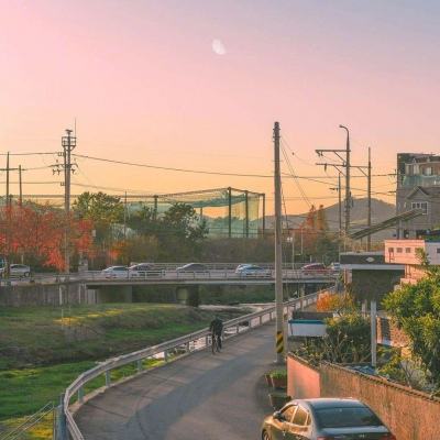 习近平访问朝鲜 朝方举行盛大欢迎仪式